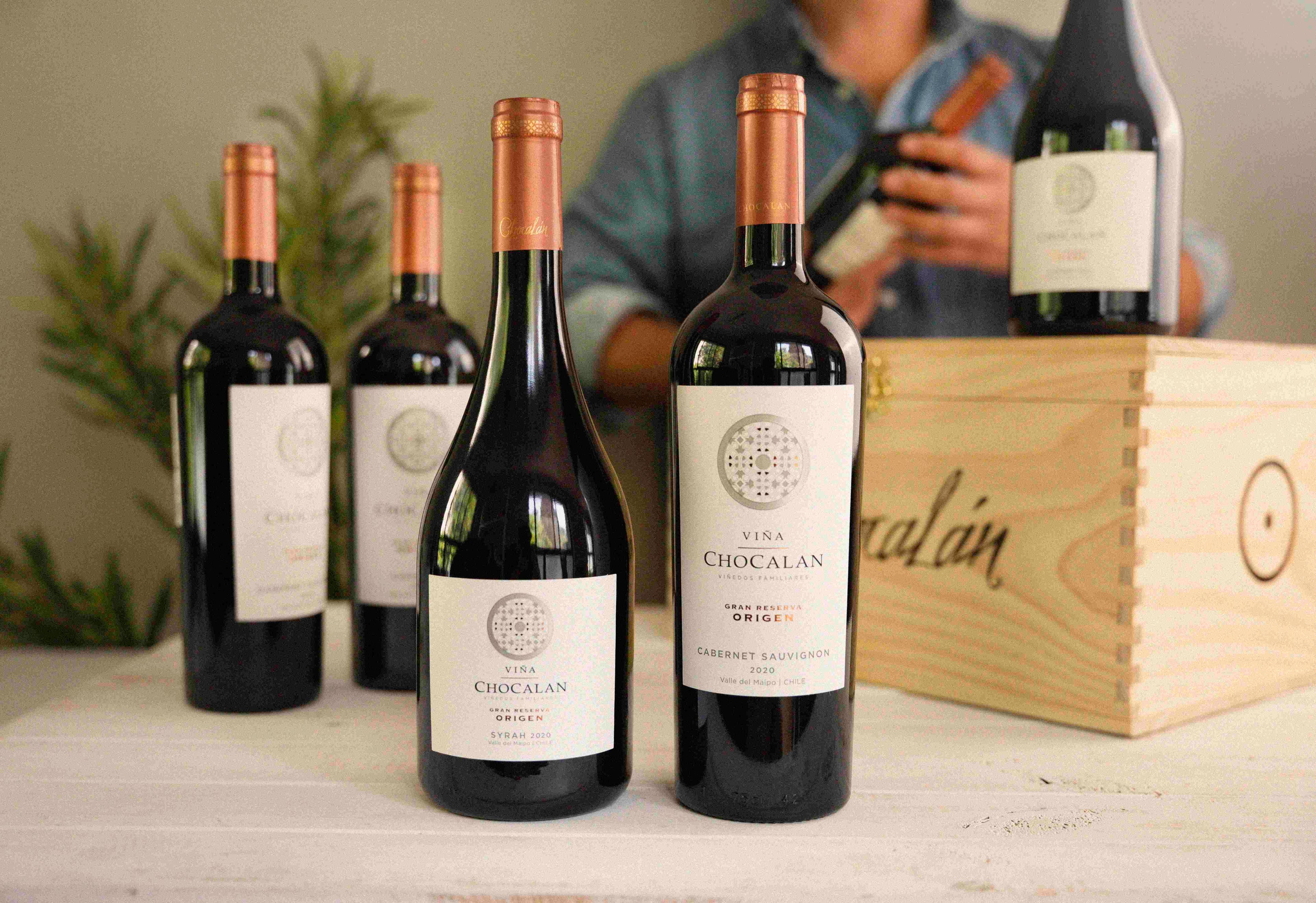 Arma tu Caja de 6 Vinos