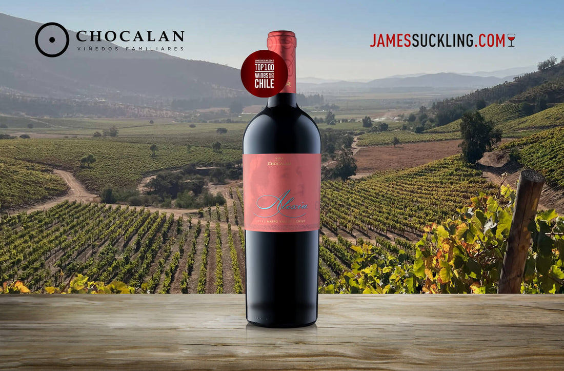 CHOCALÁN EN EL RANKING TOP 100 WINES OF CHILE 2022 JAMESSUCKLING.COM