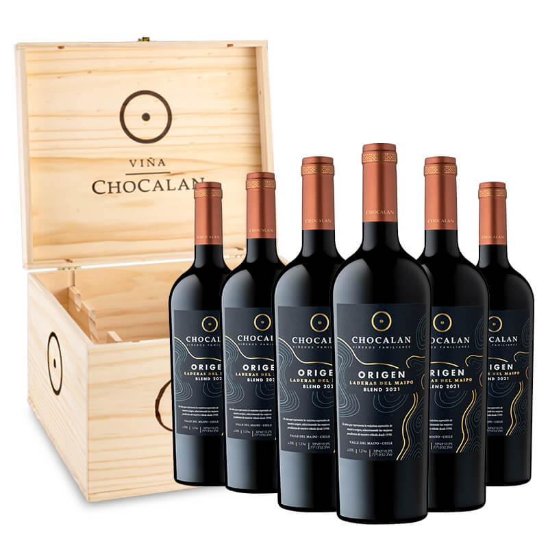 Cómo armar una caja de vinos: guía para elegir los mejores
