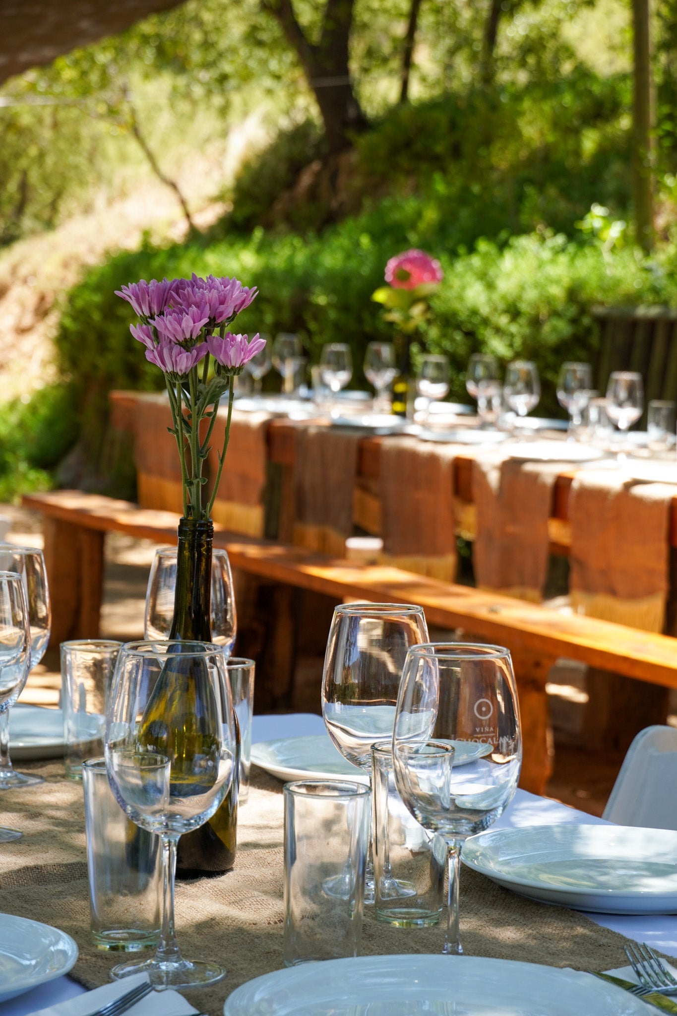 Enoturismo en Valle del Maipo: guía para visitar Viña Chocalán