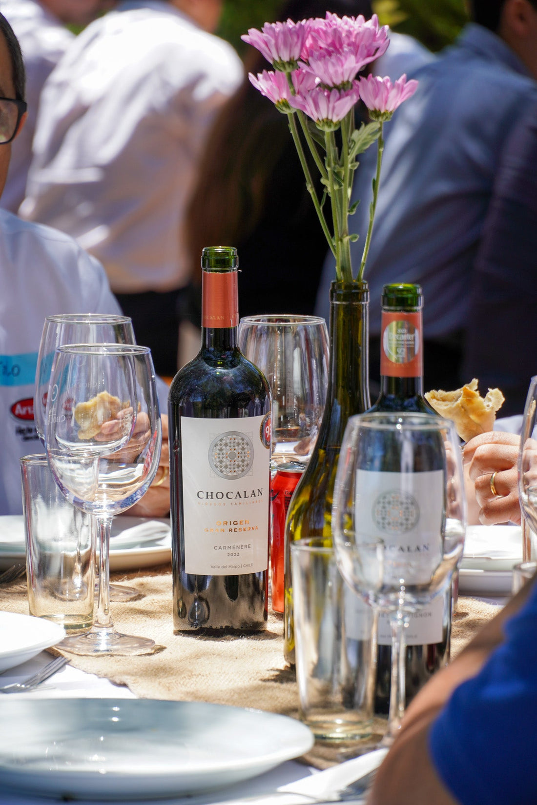 Maridaje de vinos chilenos con comida típica: guía completa
