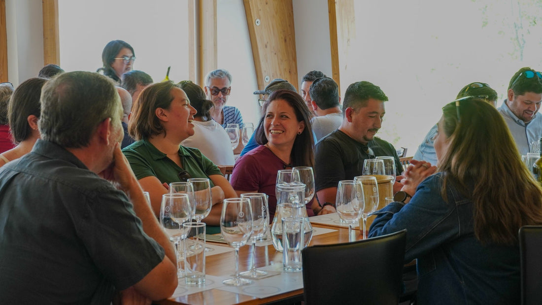 Enoturismo en Valle del Maipo: guía para visitar Viña Chocalán