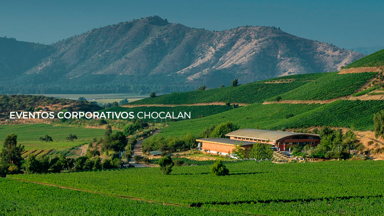 Valle del Maipo Costero: el secreto detrás de los mejores Syrah de Chile