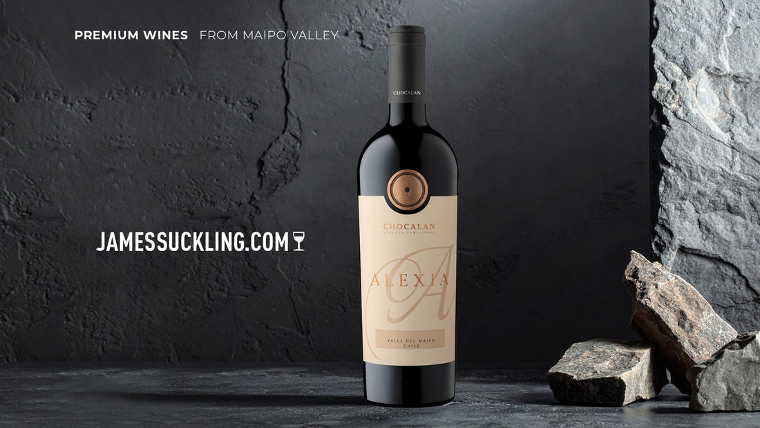 Alexia 2020: el vino ícono de Chocalan alcanza 93 puntos de James Suckling
