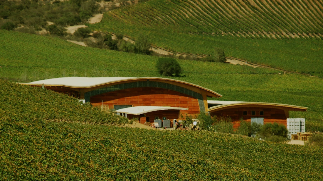 Inauguramos el Salón Guillermo en Viña Chocalán