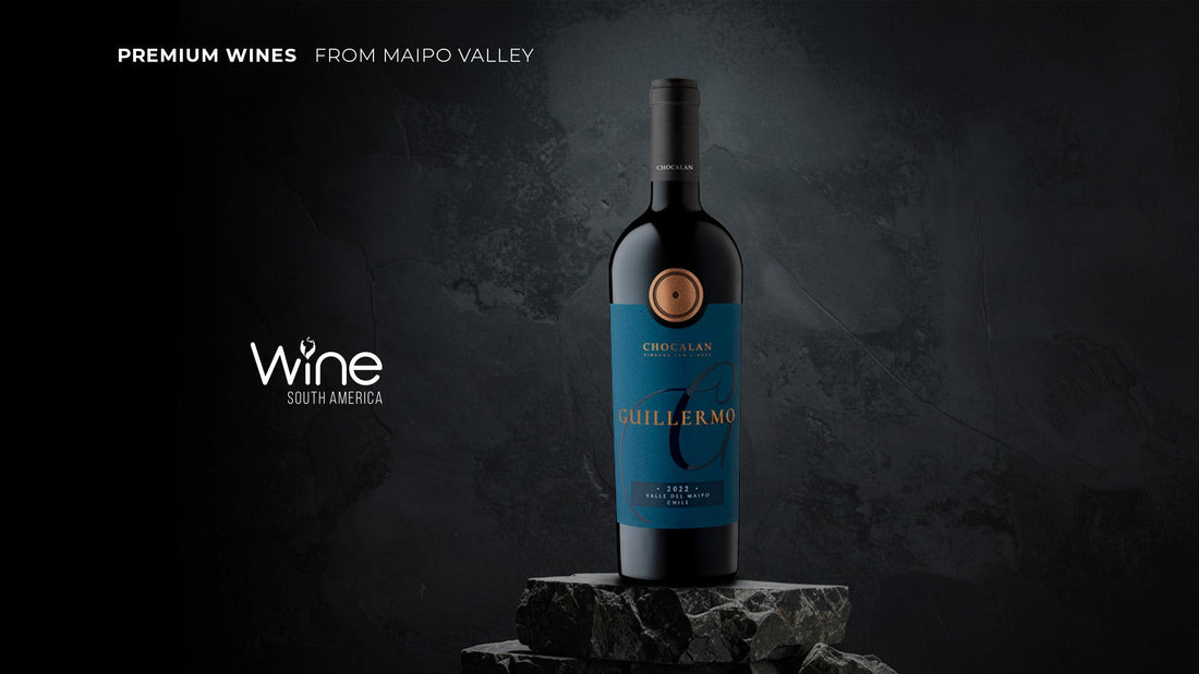 Viña Chocalán presente en Wines of South America Brasil 2026
