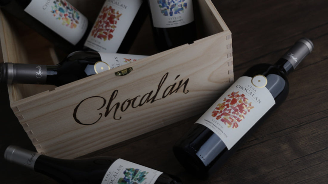 Cómo armar una caja de vinos: guía para elegir los mejores