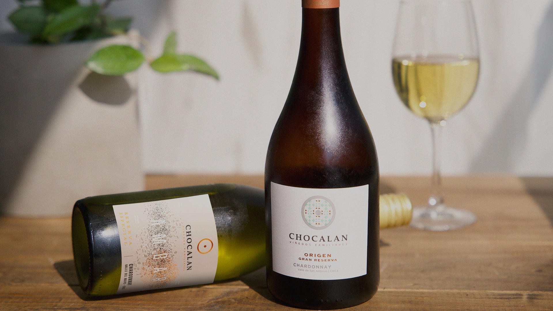 Diferencia entre Reserva y Gran Reserva: qué vino elegir como regalo