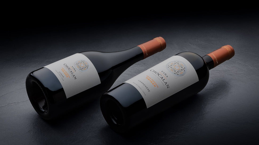 Valle del Maipo Costero: el secreto detrás de los mejores Syrah de Chile