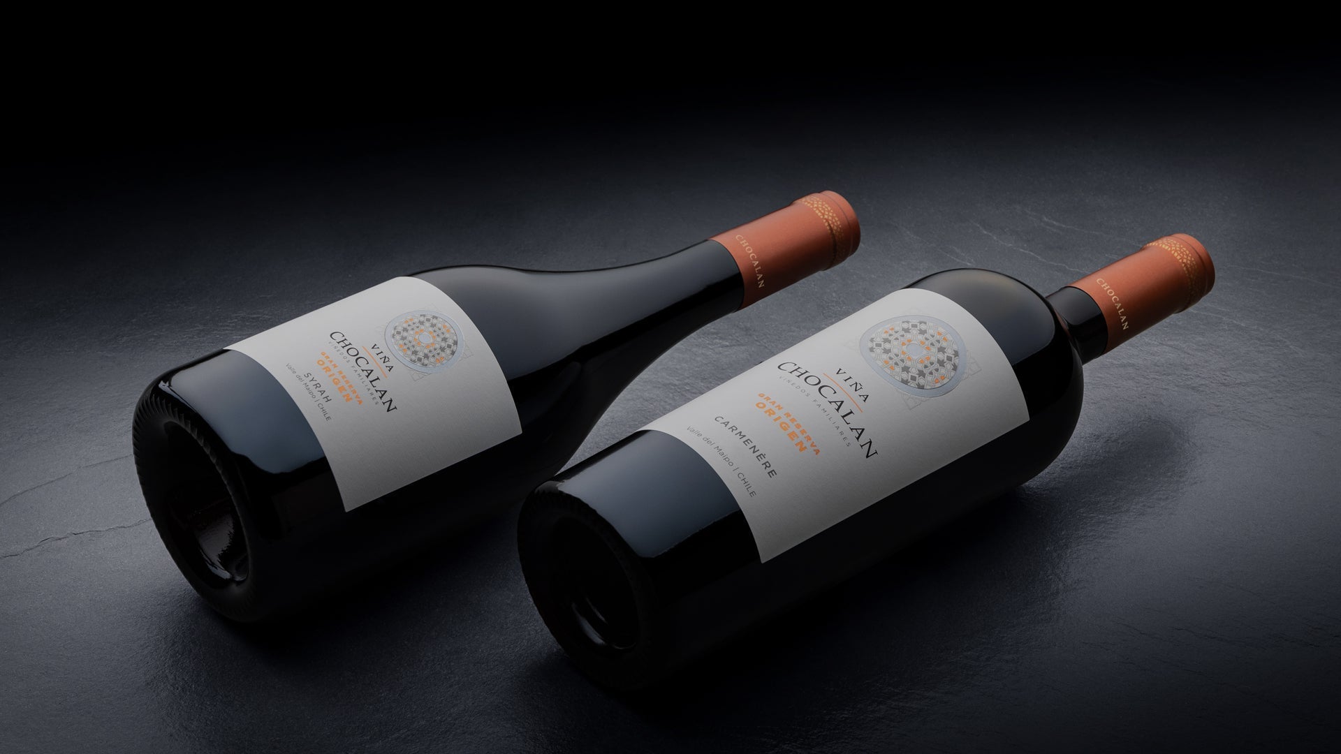 Valle del Maipo Costero: el secreto detrás de los mejores Syrah de Chile