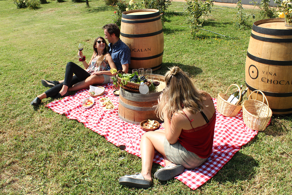 Picnic Chocalán