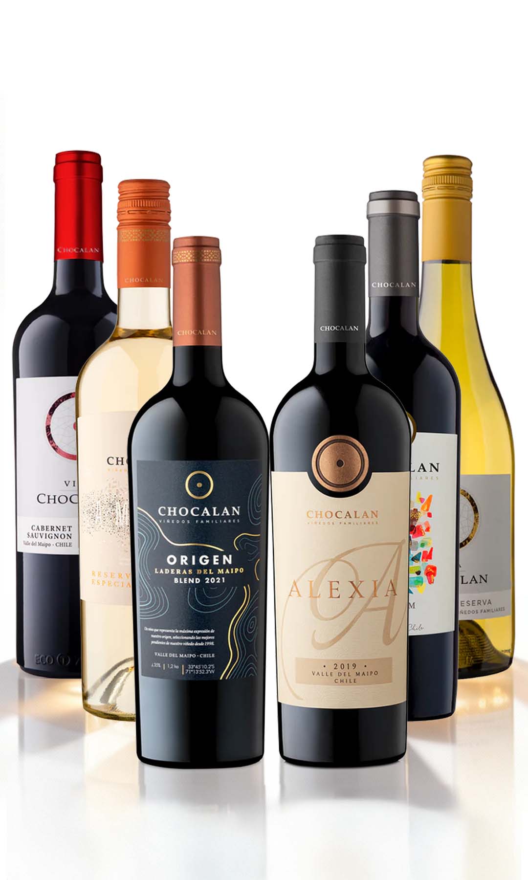 Assemble your box of 6 wines